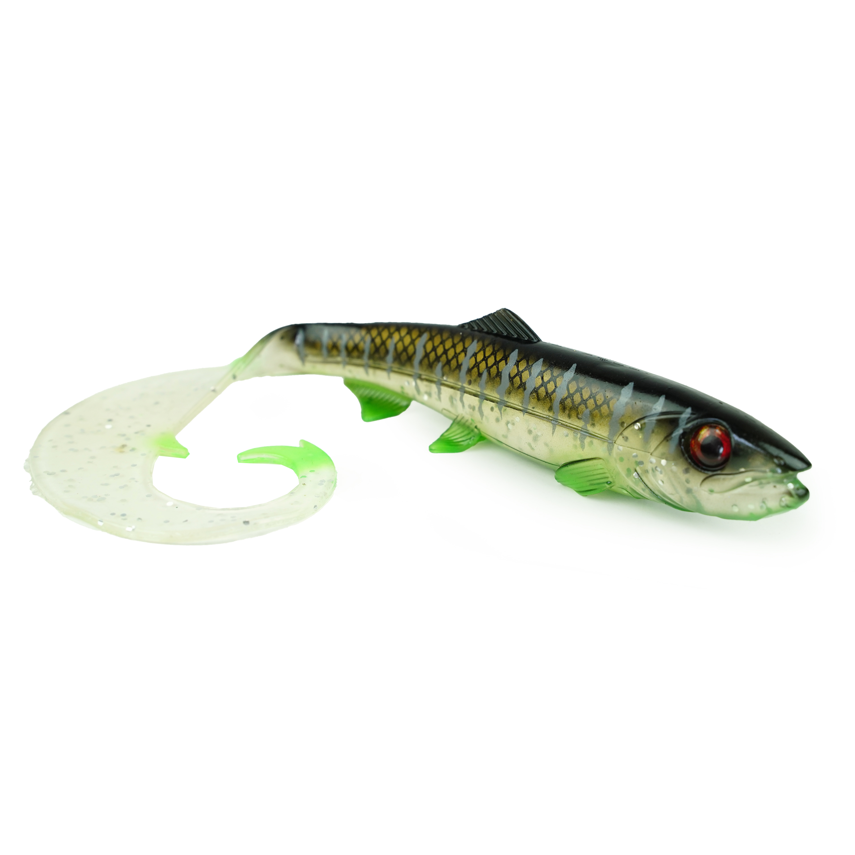 Hostagevalley Curlytail - Clear Malawi - 18cm