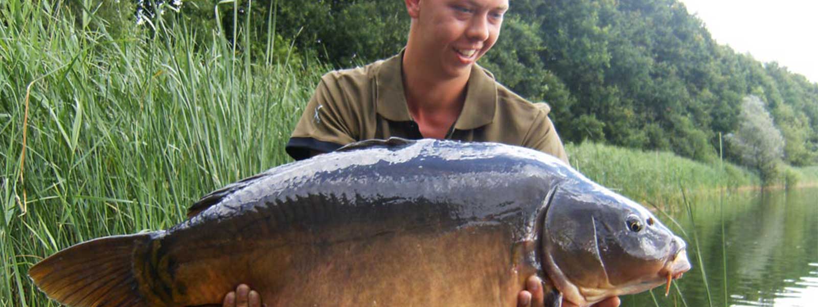 carplantis_tips_jorg_raven