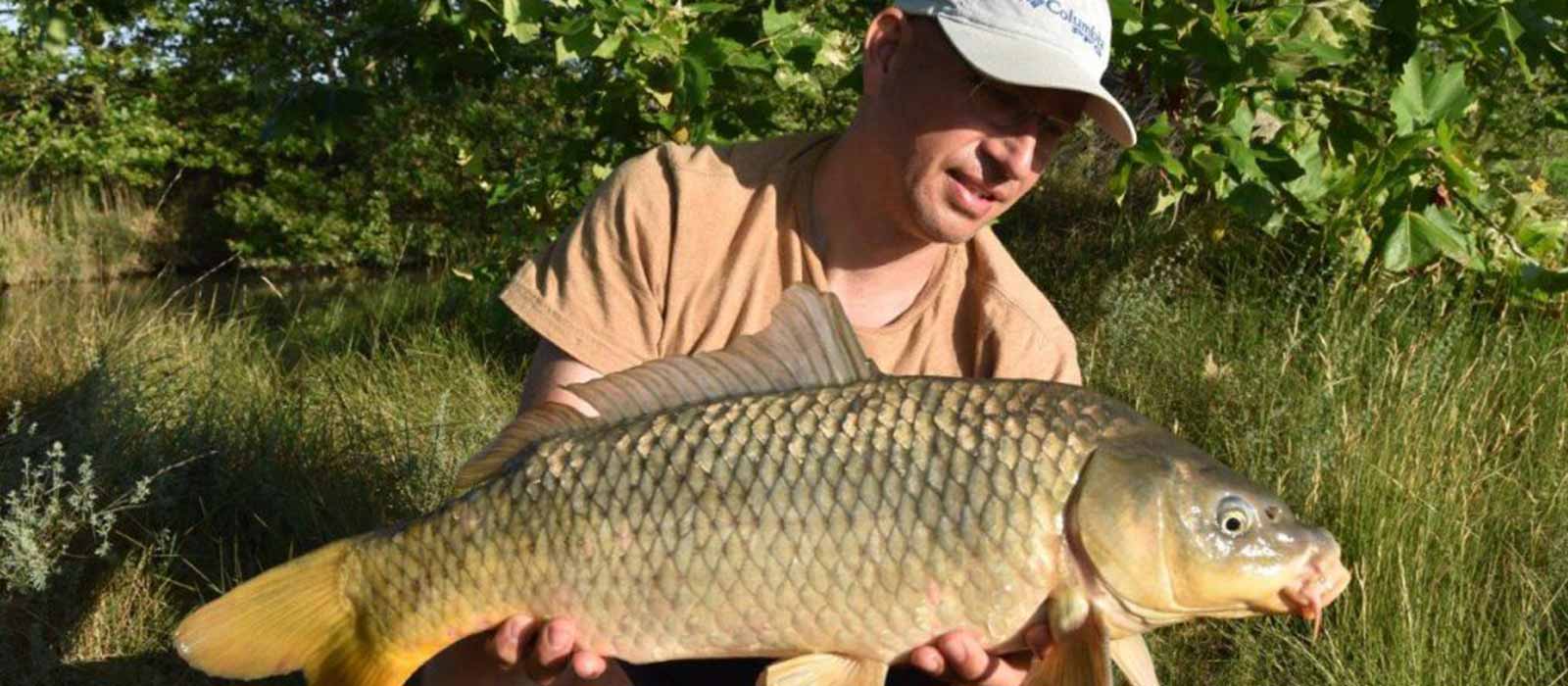 Reishengel vangst schubkarper