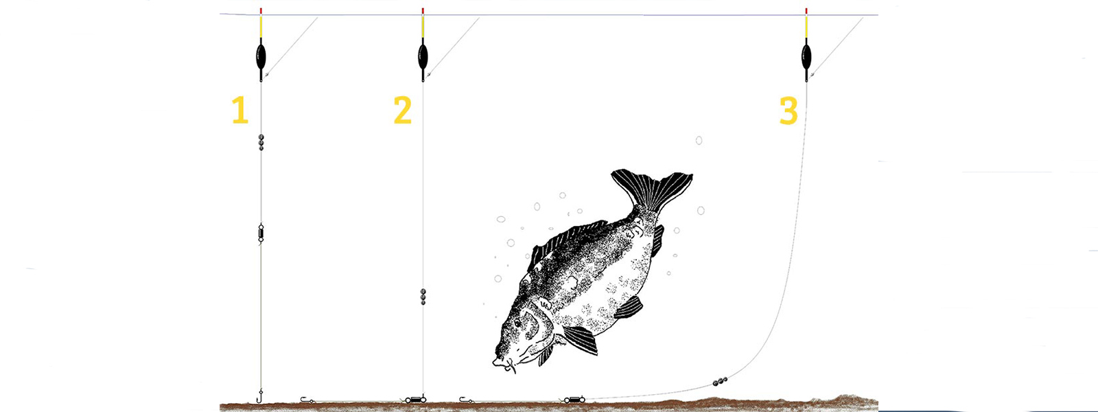 Penvissen_Uitloden_Raven