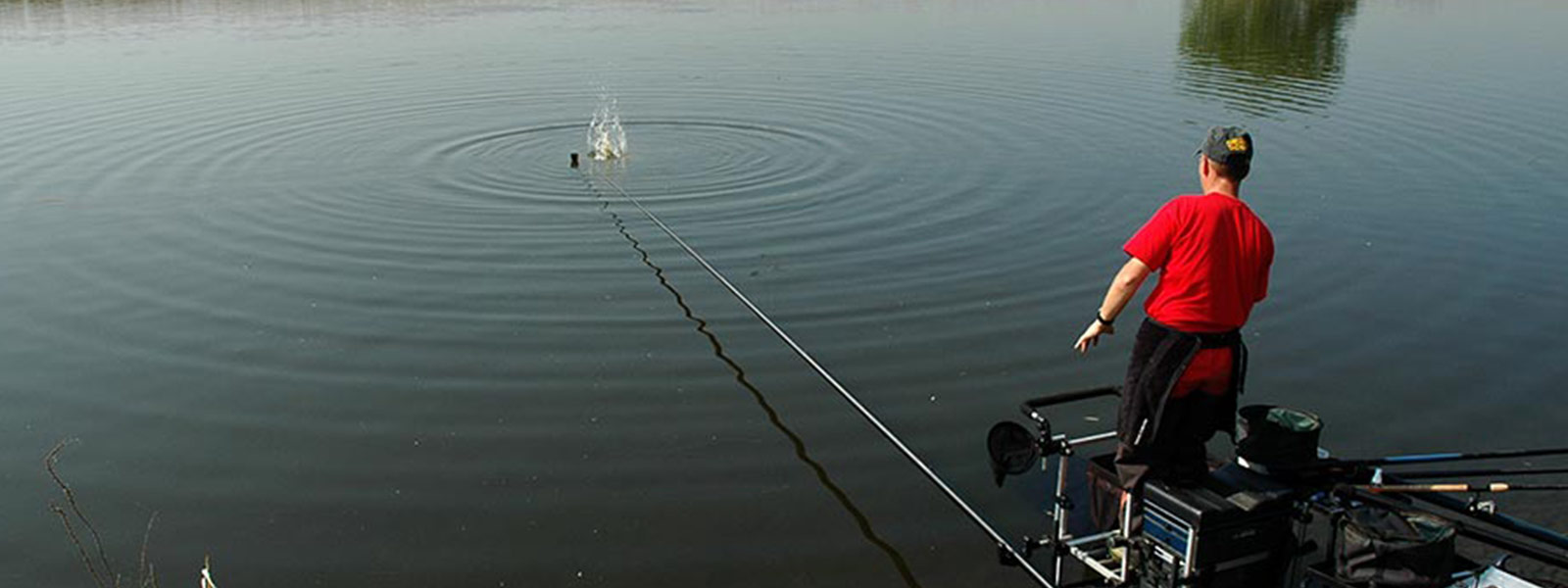 markpollar_voeren_raven